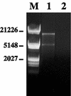 FIG. 5.