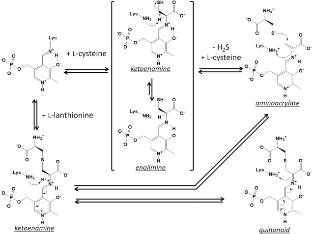 Figure 9