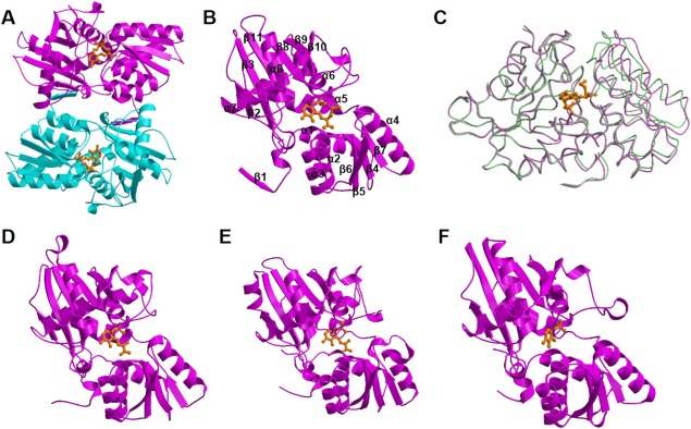 Figure 5