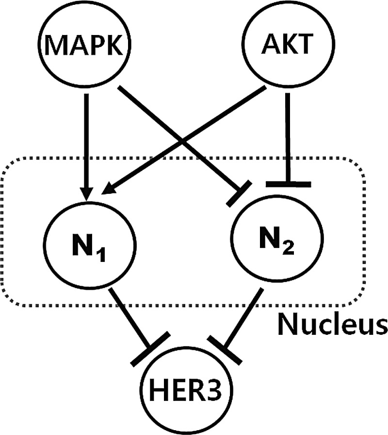 FIG. 12.