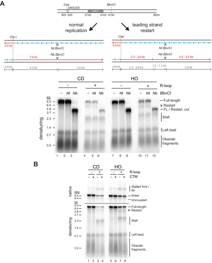 Figure 2—figure supplement 2.