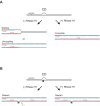 Figure 4—figure supplement 1.