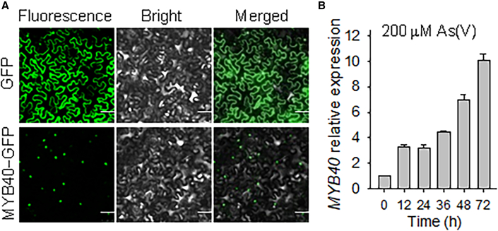 Figure 1