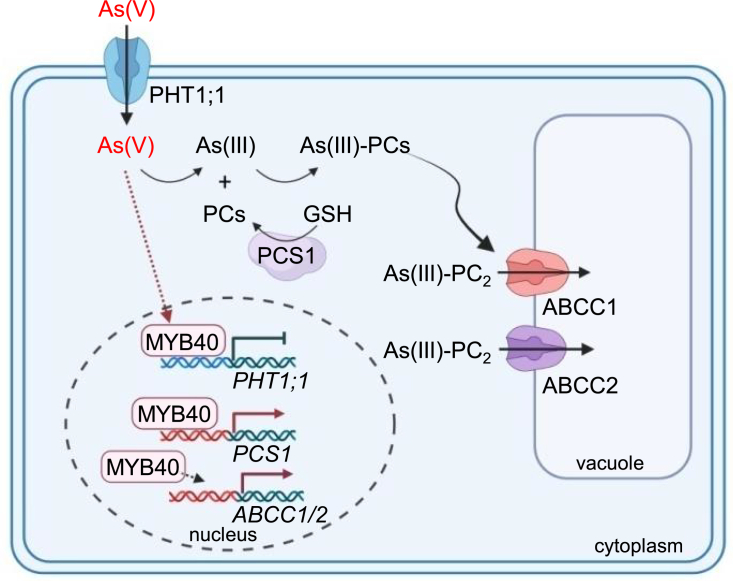 Figure 7