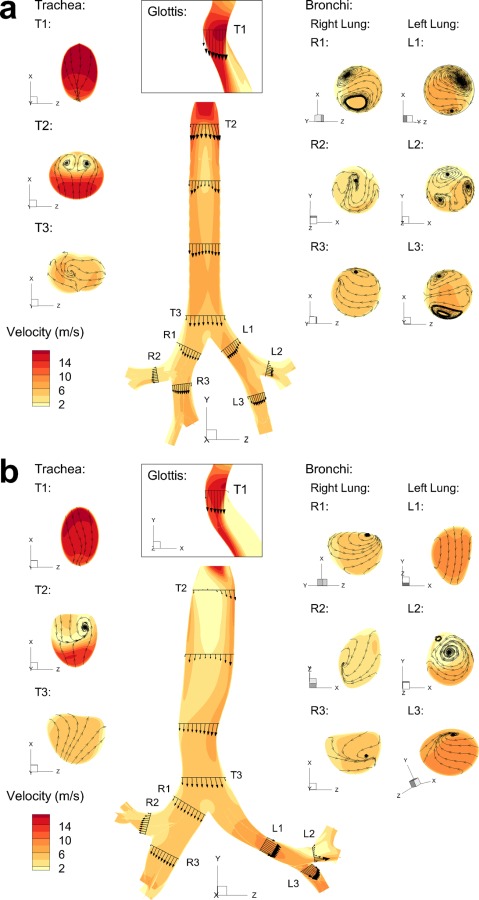 Fig. 5