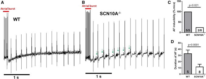 Fig. 8