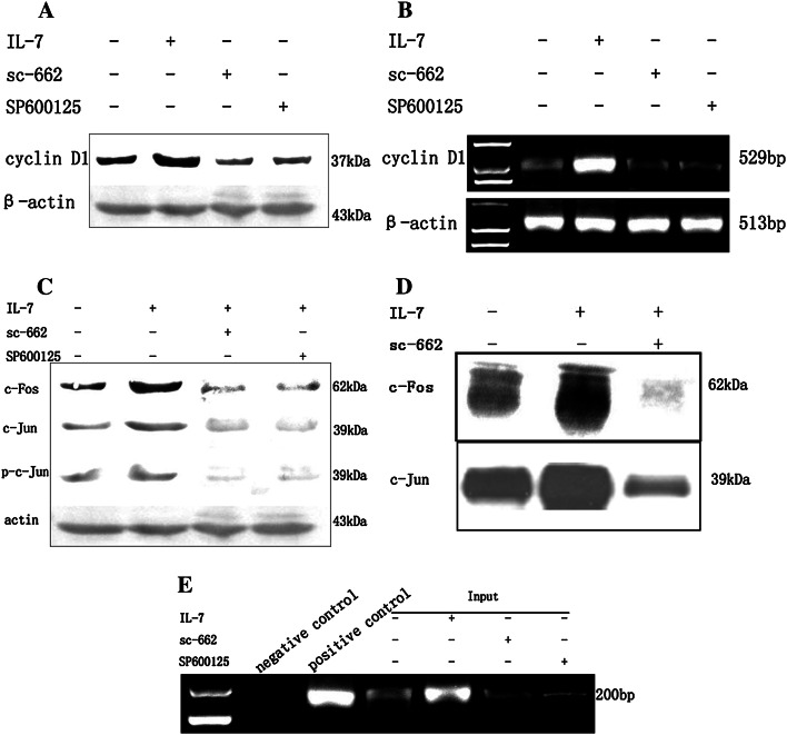 Fig. 9