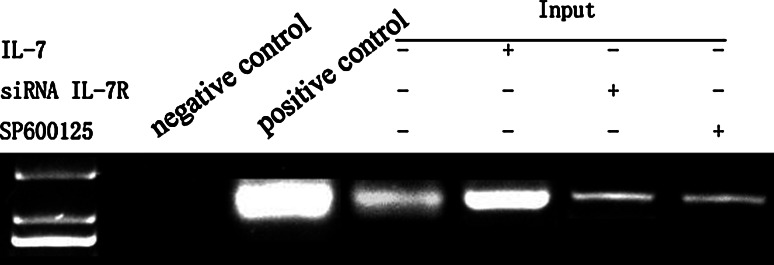 Fig. 7