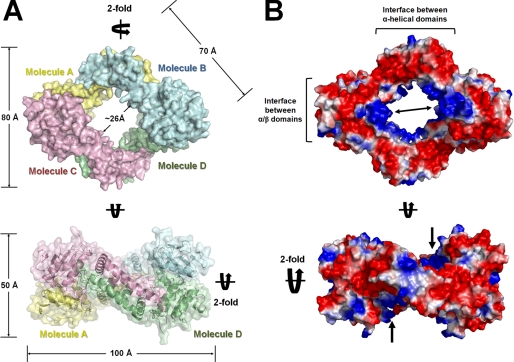 FIGURE 2.