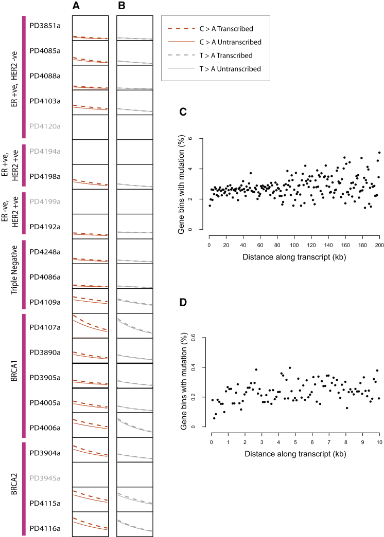 Figure 6