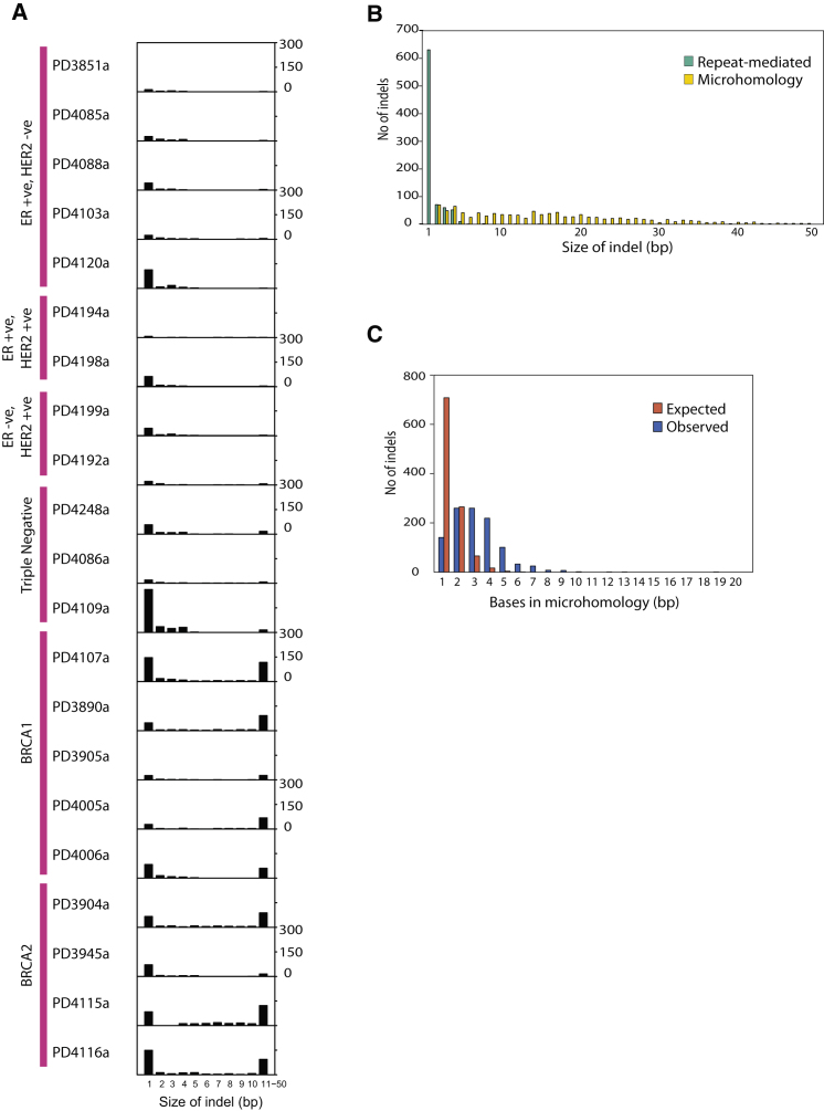 Figure 7