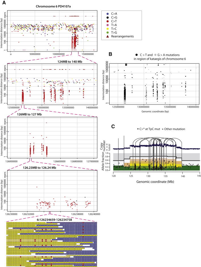 Figure 4