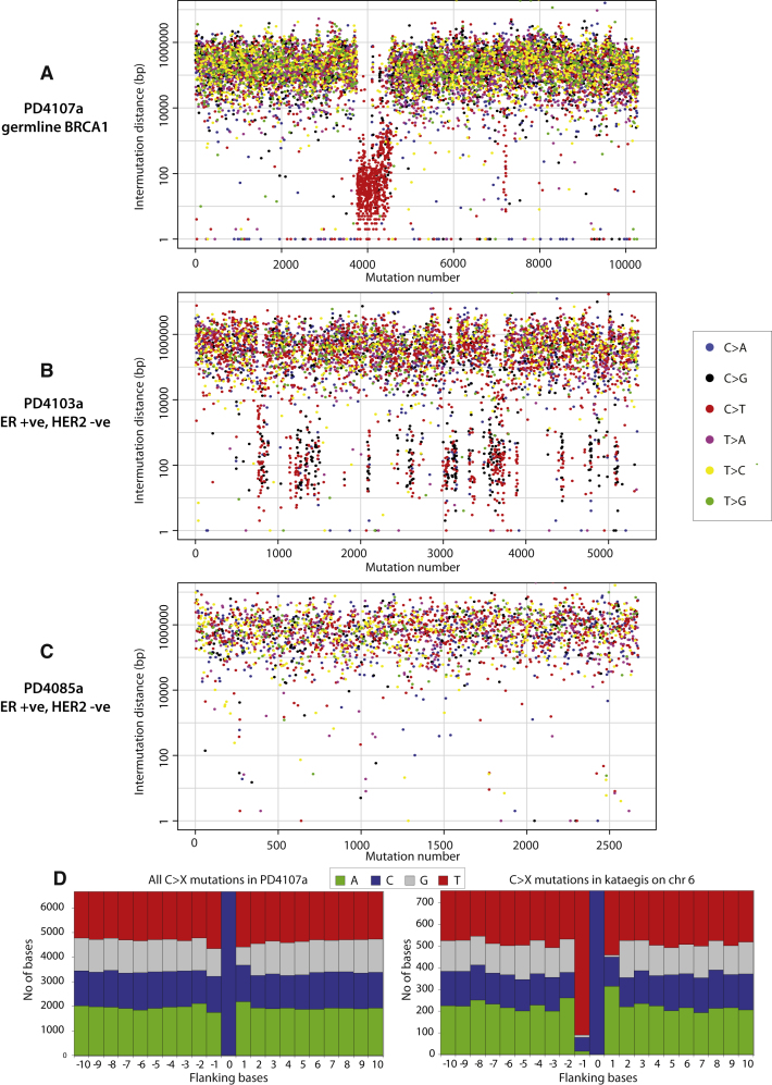 Figure 3