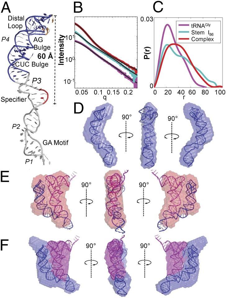 Fig. 5.