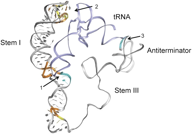 Fig. 6.