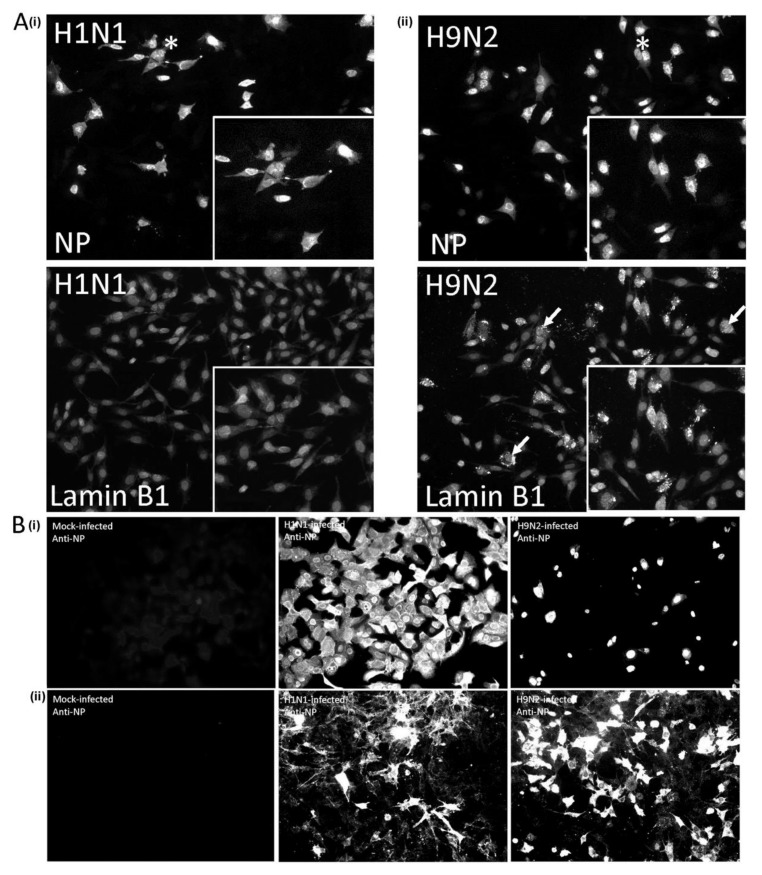 Figure 10