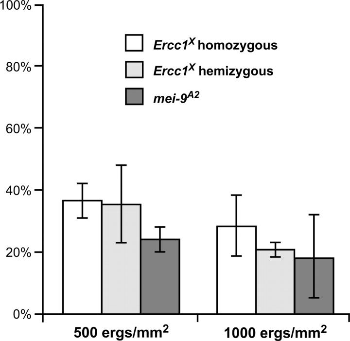 Figure 4.—