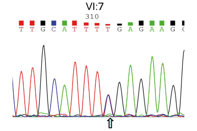 Figure 5.