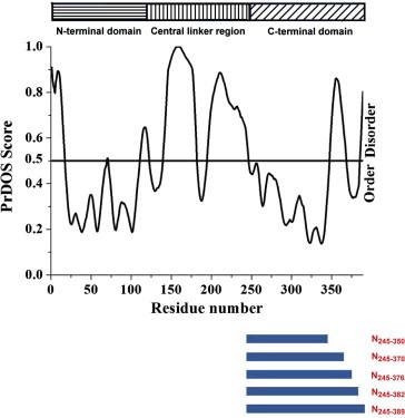 figure image