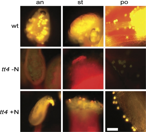 Fig. 6.