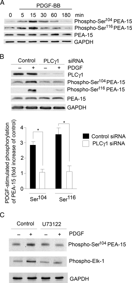 Figure 5