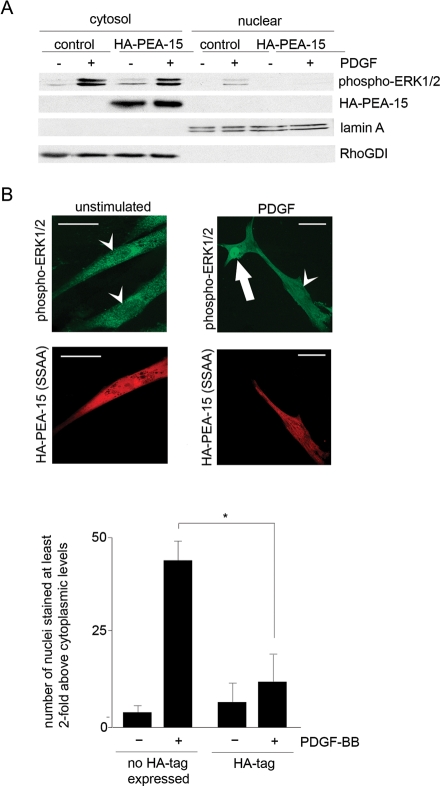 Figure 6