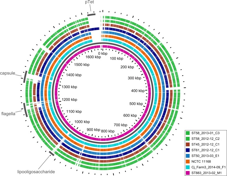 Fig 6