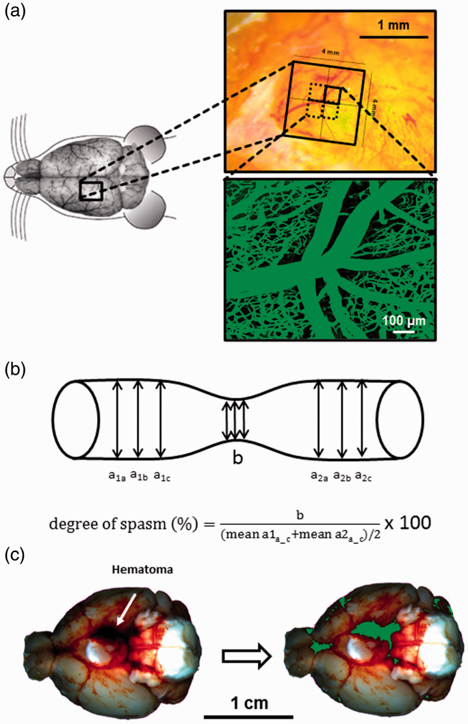 Figure 1.