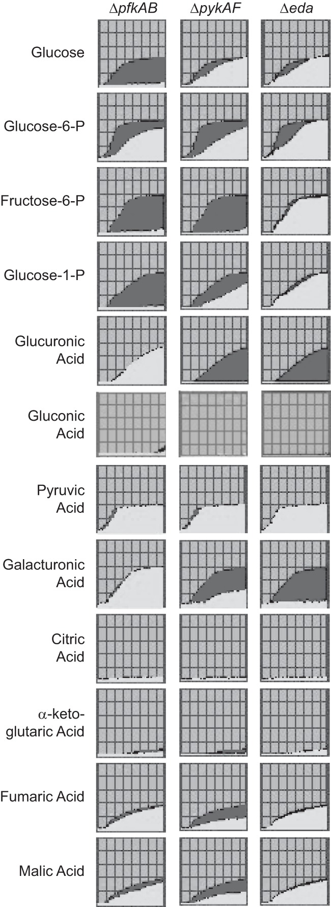 FIG 5