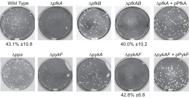 FIG 2