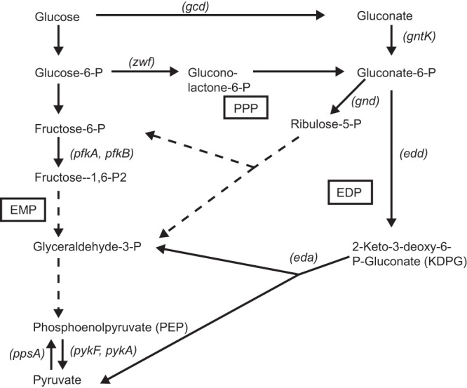 FIG 1