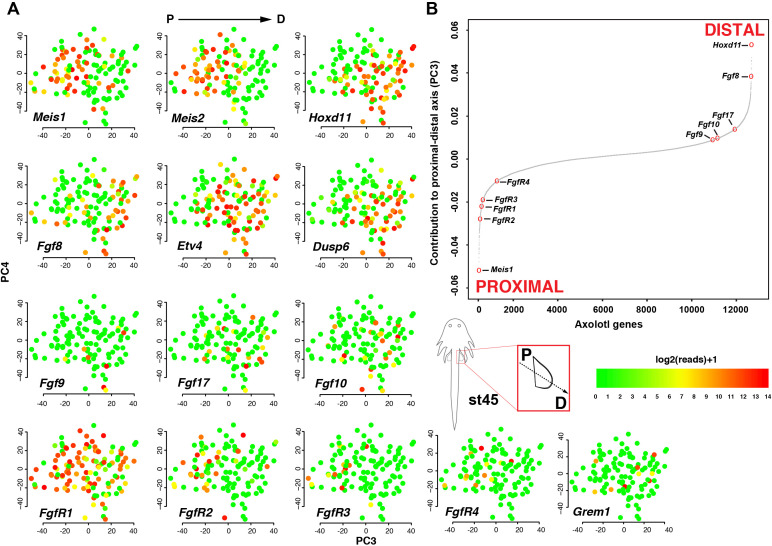 graphic file with name elife-72022-fig2.jpg