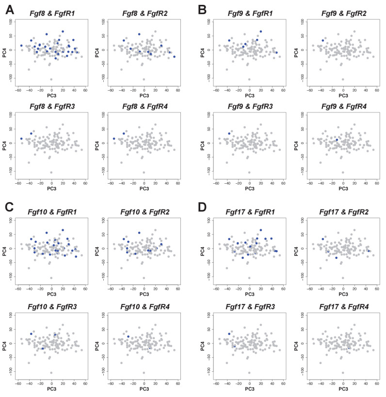 graphic file with name elife-72022-fig5.jpg