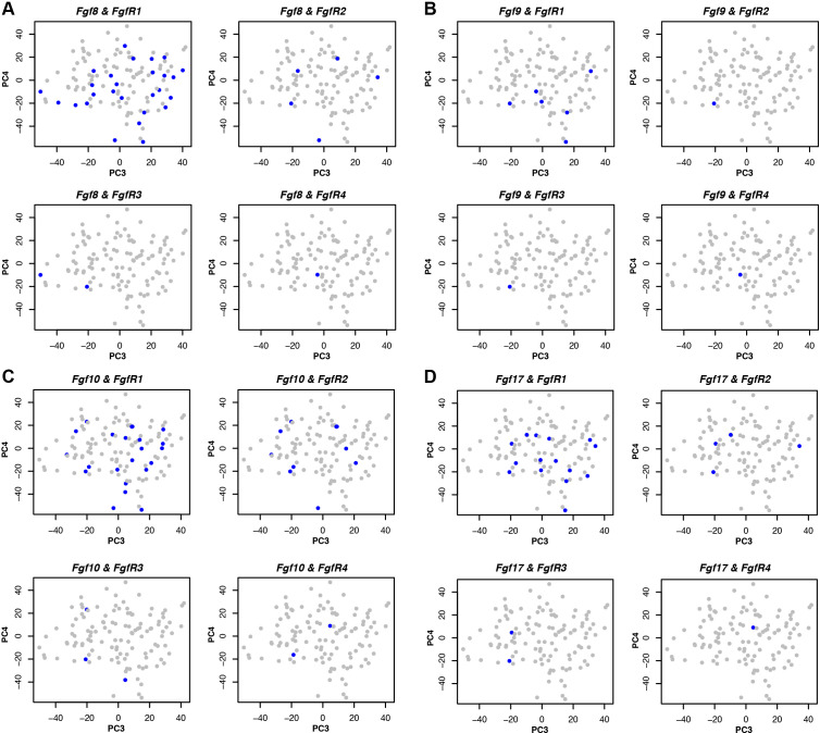 graphic file with name elife-72022-fig6.jpg