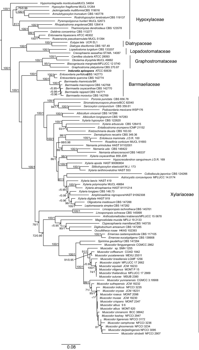 Fig. 3