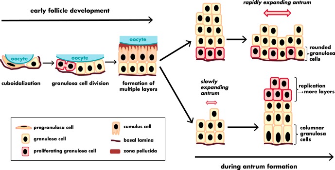 Figure 6.