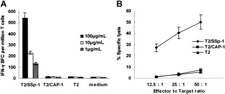 Figure 1. Immunogenicity of SARS-S–derived peptide SSp-1 in HLA-A2.1/Kb transgenic mice. IFN-γ release by bulk CTLs from immunized mice was detected by ELISPOT assay (A) and lytic activity was tested using a standard 4-hour chromium release assay (B). (A) Bulk CTLs from SSp-1–immunized mice released IFN-γ in response to T2 cells pulsed with SSp-1 (T2/SSp-1) in a dose-dependent manner, but not those with irrelevant peptide CAP-1 (T2/CAP-1) or T2 cells alone. (B) Bulk CTLs from SSp-1–immunized mice lysed T2 cells loaded with SSp-1, but not T2 cells pulsed with the irrelevant peptide CAP-1 or T2 cells alone. Data represent means ± SD.