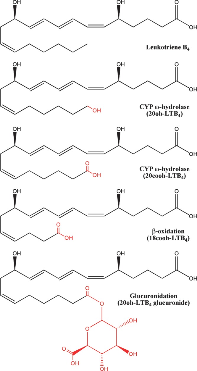 Fig. 8.