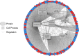 Fig 2: