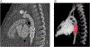 Fig. 5.