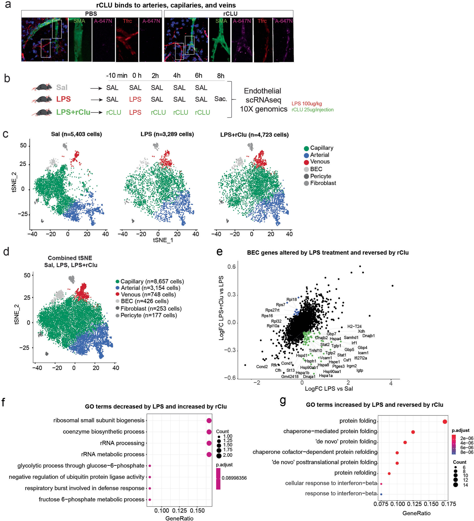 Extended Data Fig. 8 |