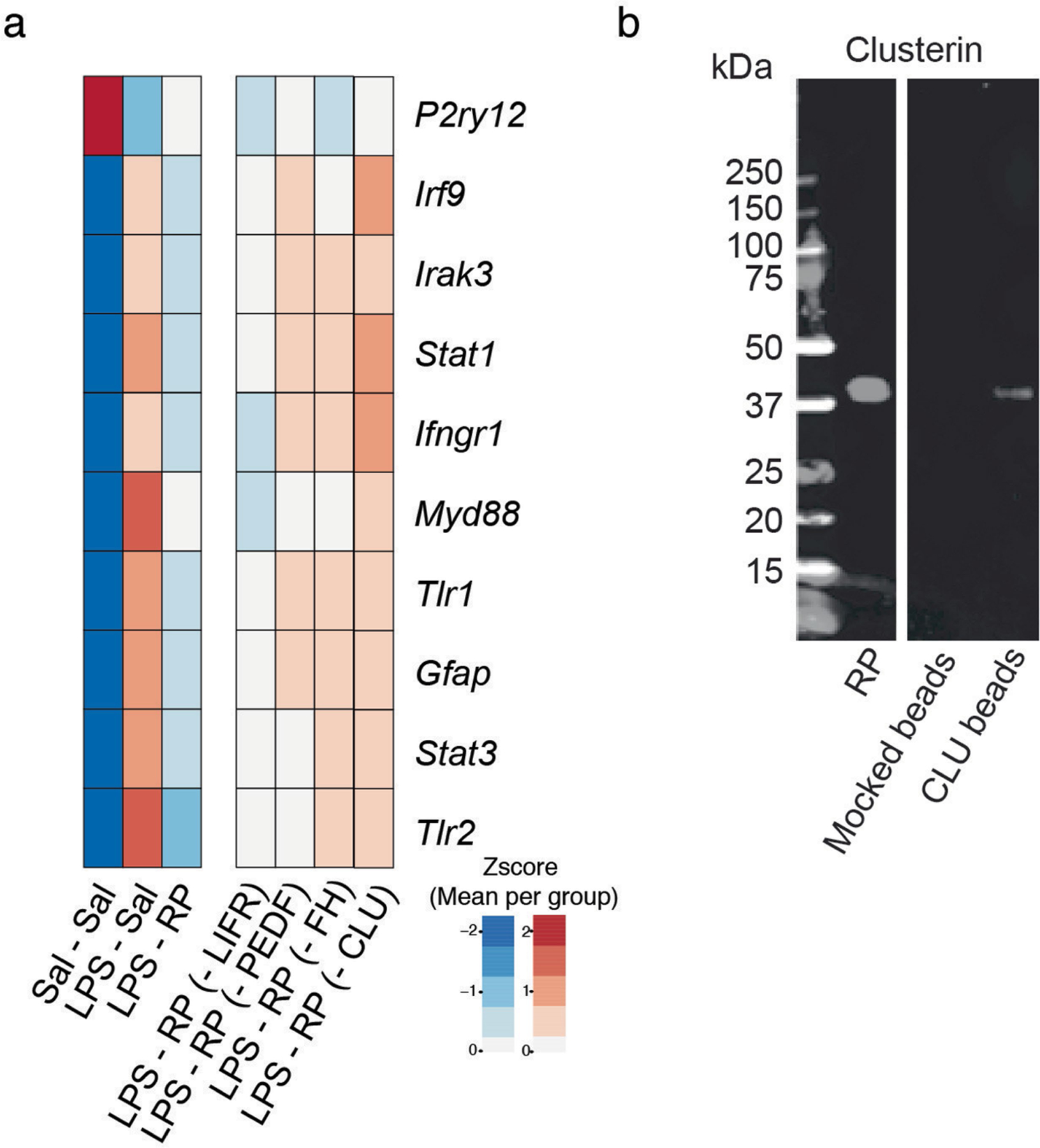 Extended Data Fig. 6 |