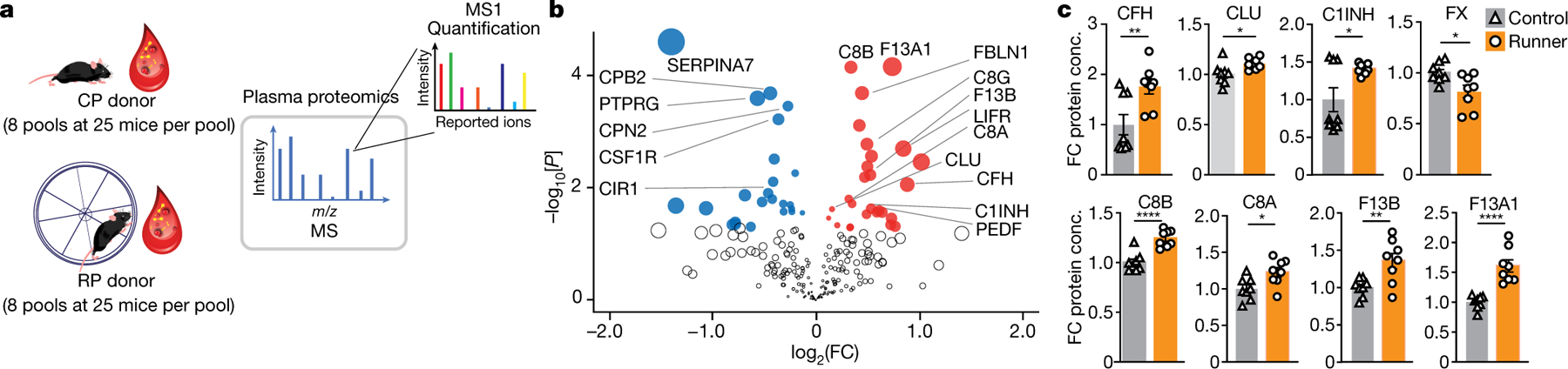 Fig. 3 |