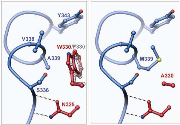 Fig 10