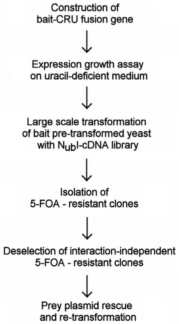 Figure 2.