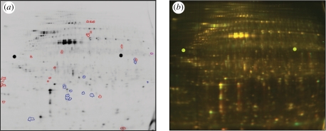 Figure 1.