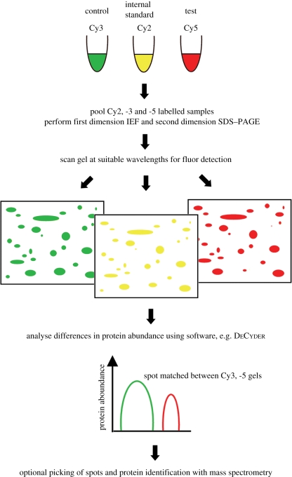 Figure 2.