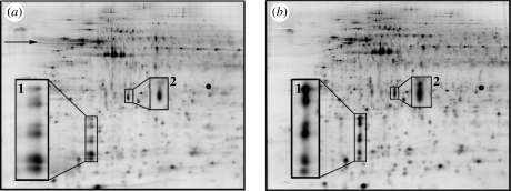 Figure 3.