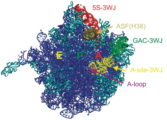 Figure 2.