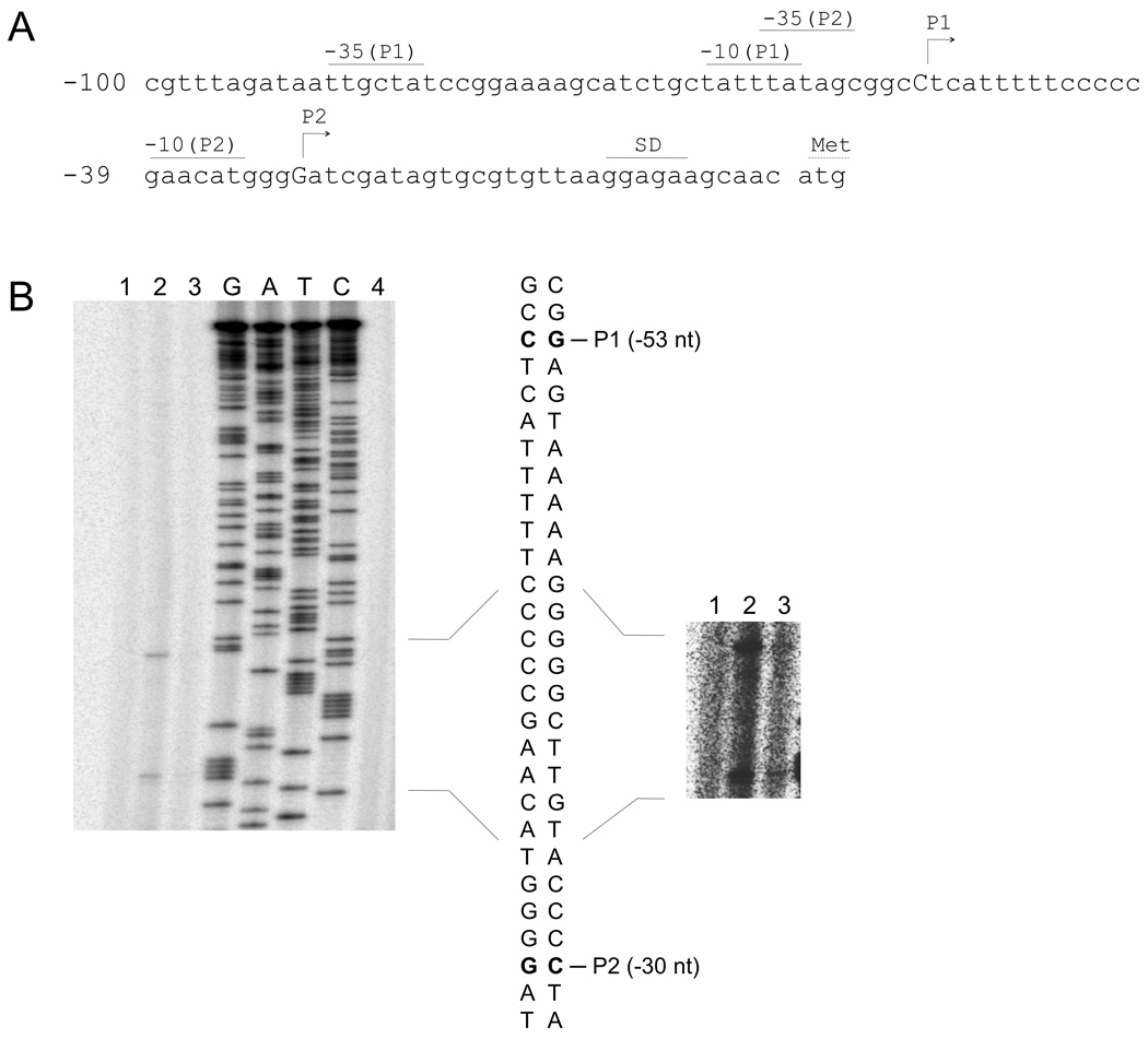 Fig. 5